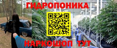 шишки Канаш